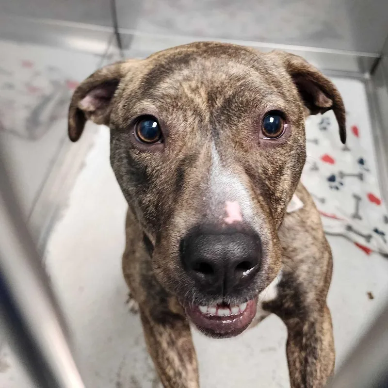 Baby Girl thumbnail 3