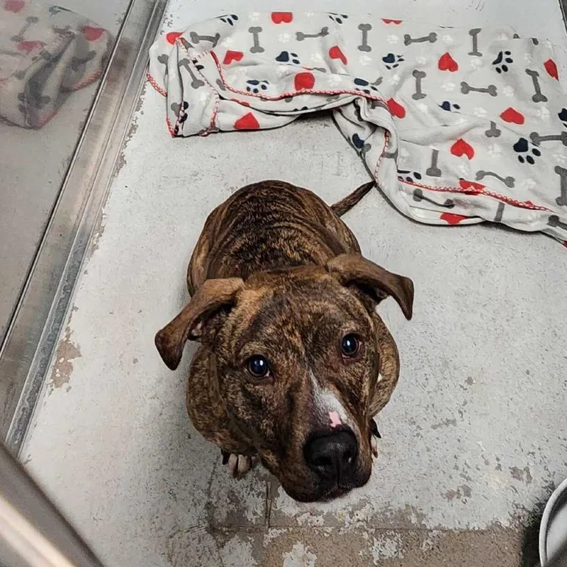 Baby Girl thumbnail 4