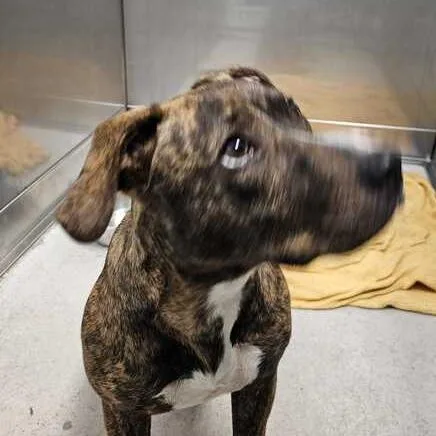 Baby Girl thumbnail 5