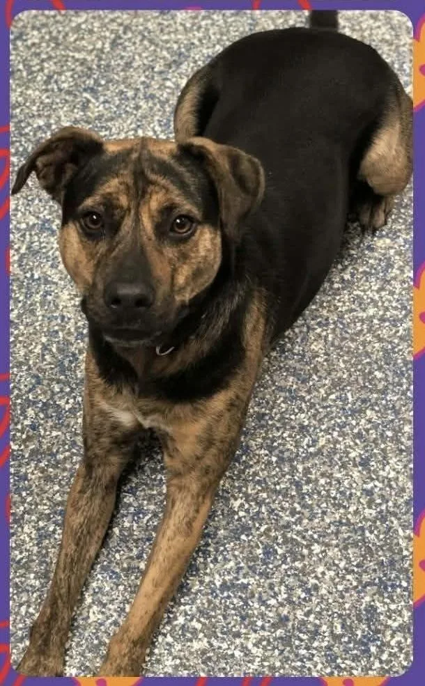 Bootsie The Beautiful