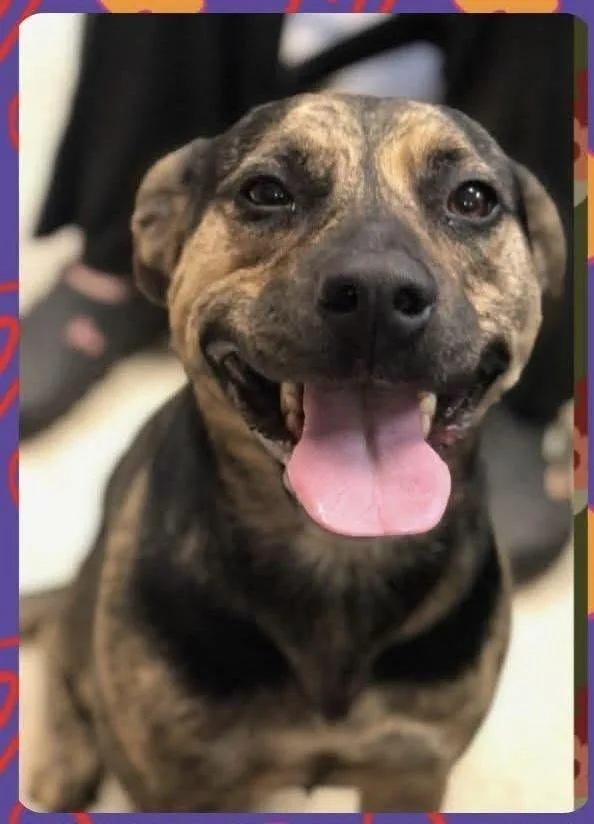 Bootsie The Beautiful thumbnail 2