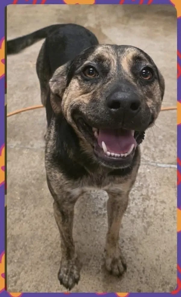 Bootsie The Beautiful thumbnail 3