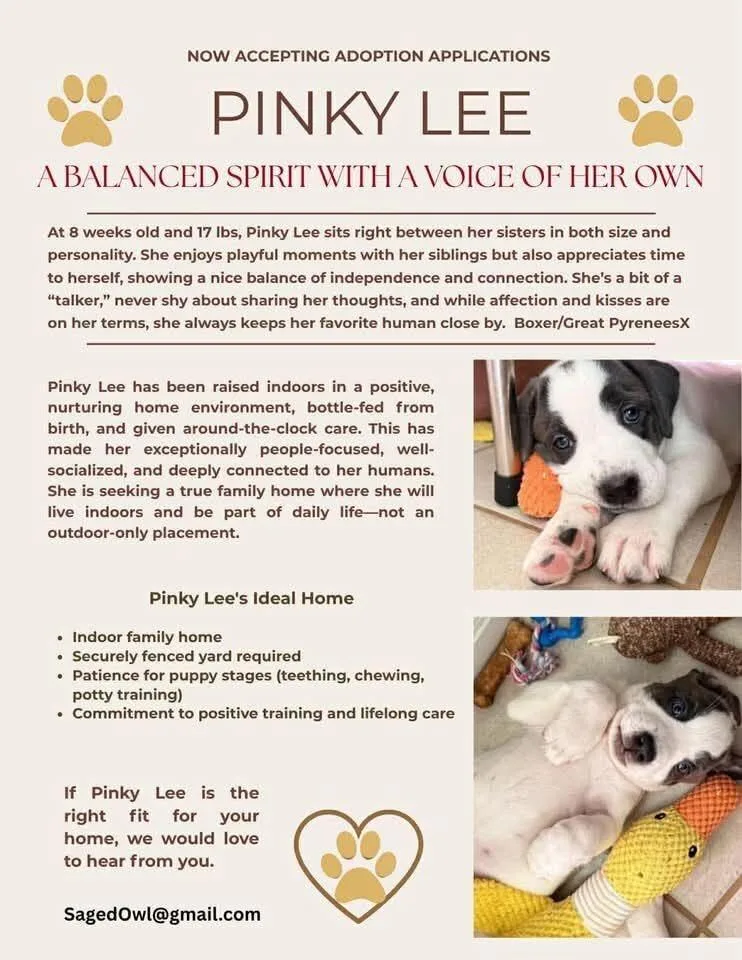 Pinky Lee