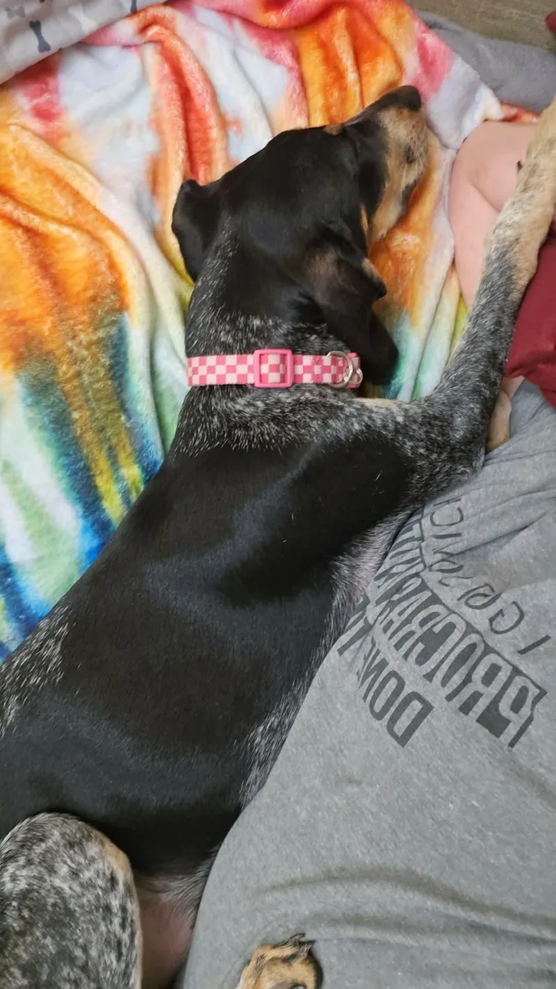 Maggie Magnolia thumbnail 2