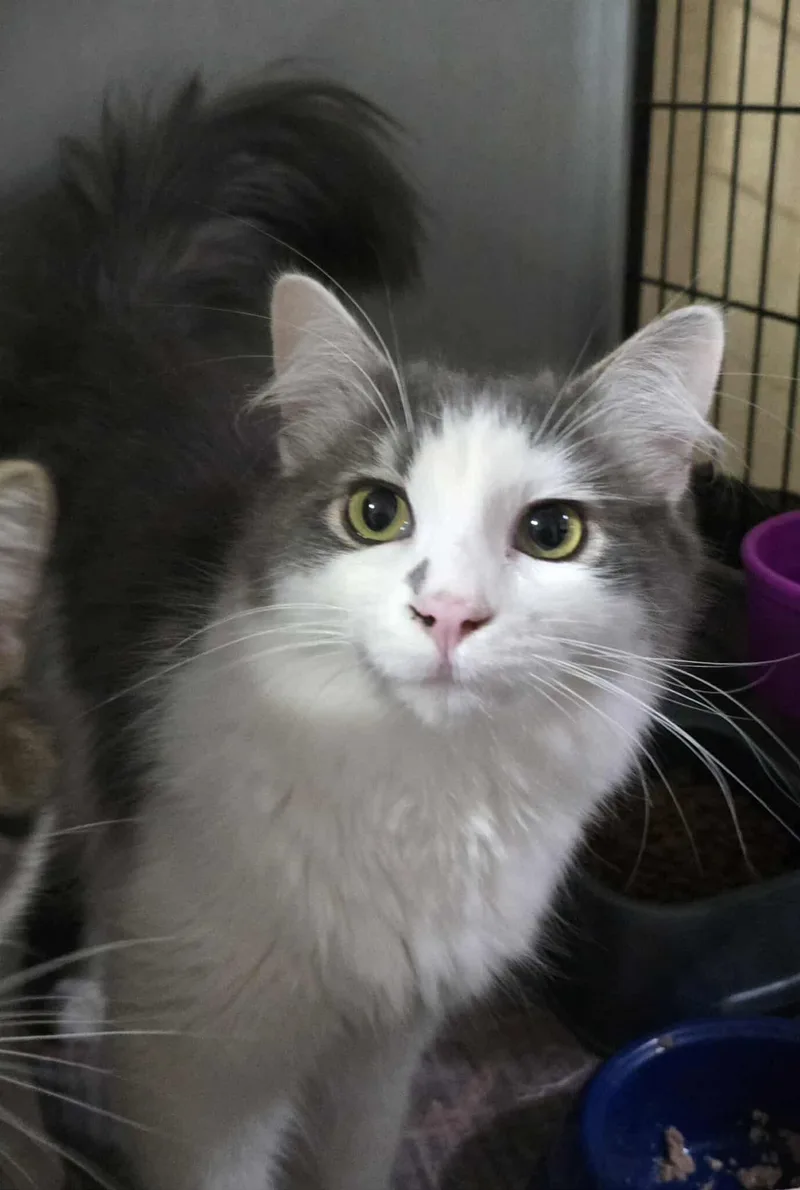 Moxee & Granger thumbnail 2