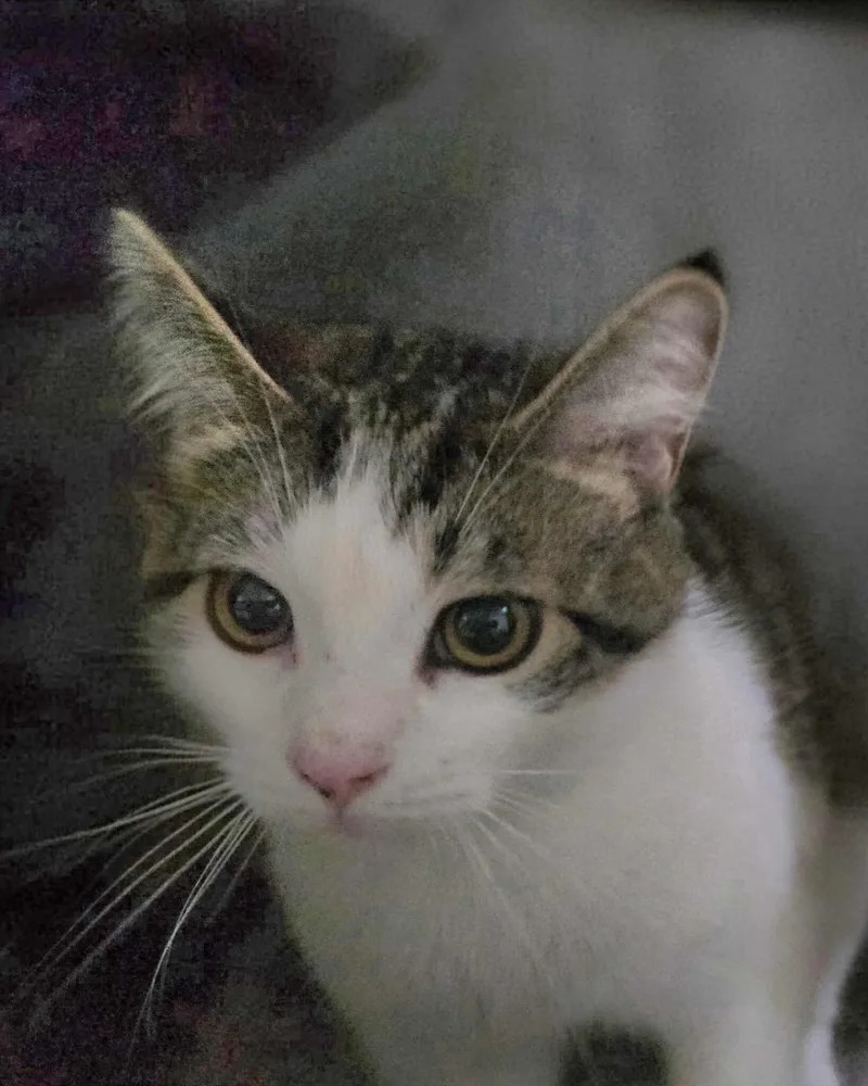 Moxee & Granger thumbnail 3