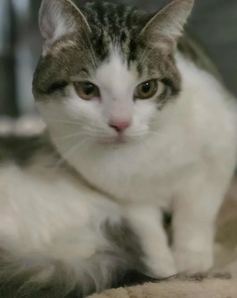 Moxee & Granger thumbnail 4