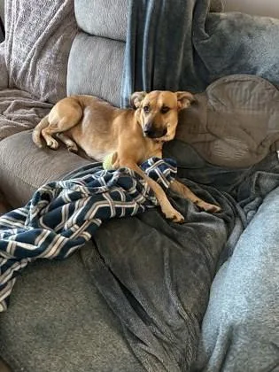 Ruko thumbnail 2