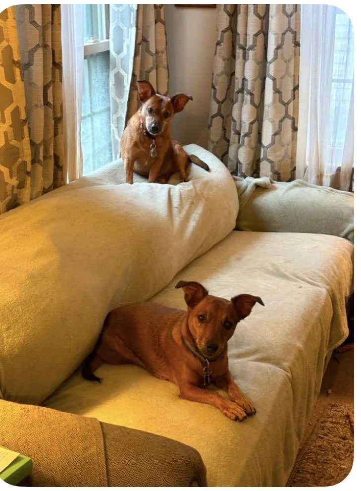 Remington & Winchester