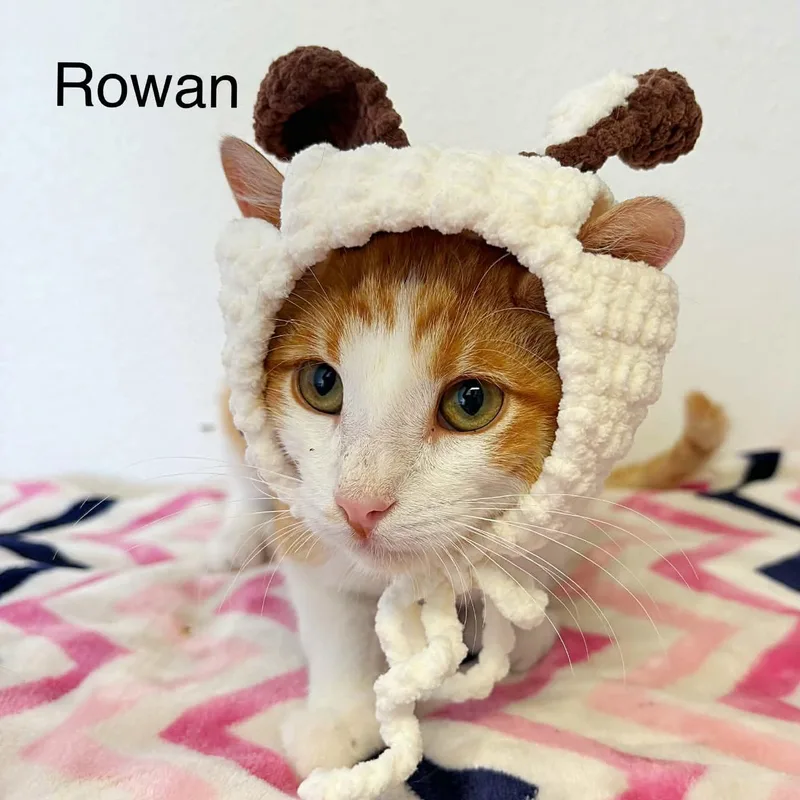 Rowan