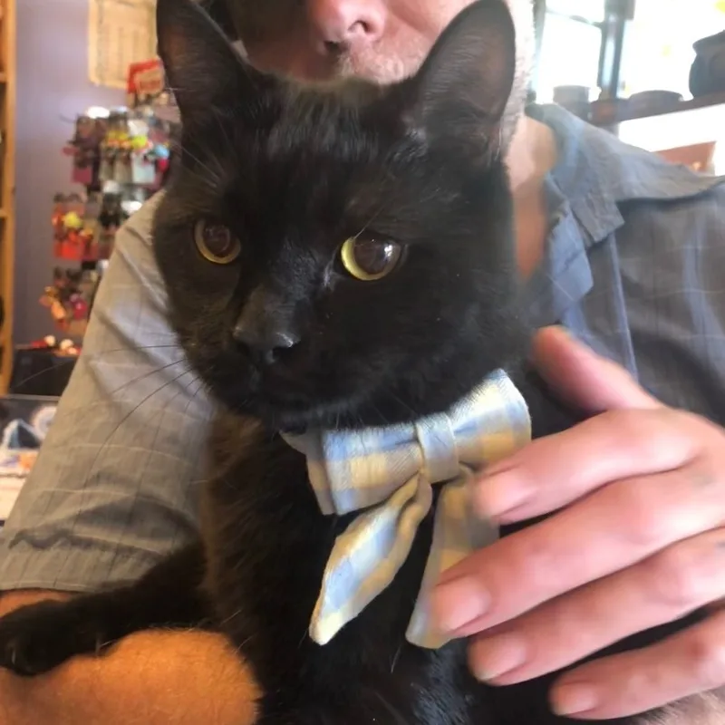 Fredrico thumbnail 3