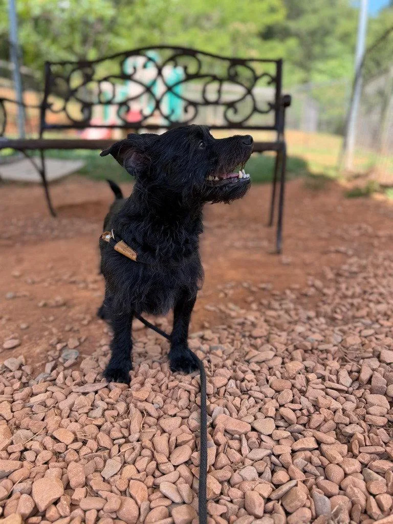 Oakley