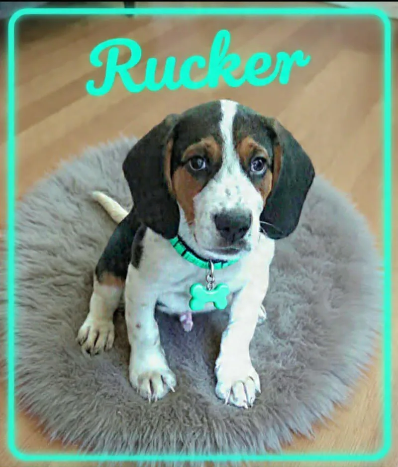 Rucker thumbnail 3
