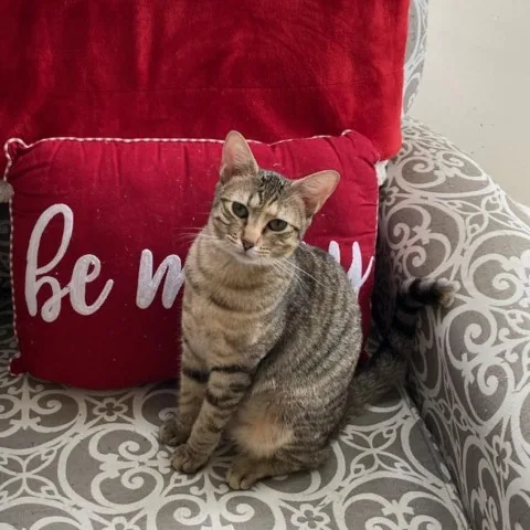 Professor Utonium thumbnail 2