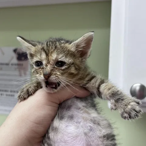 Professor Utonium thumbnail 3