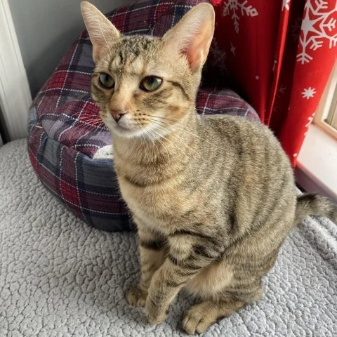 Professor Utonium thumbnail 4