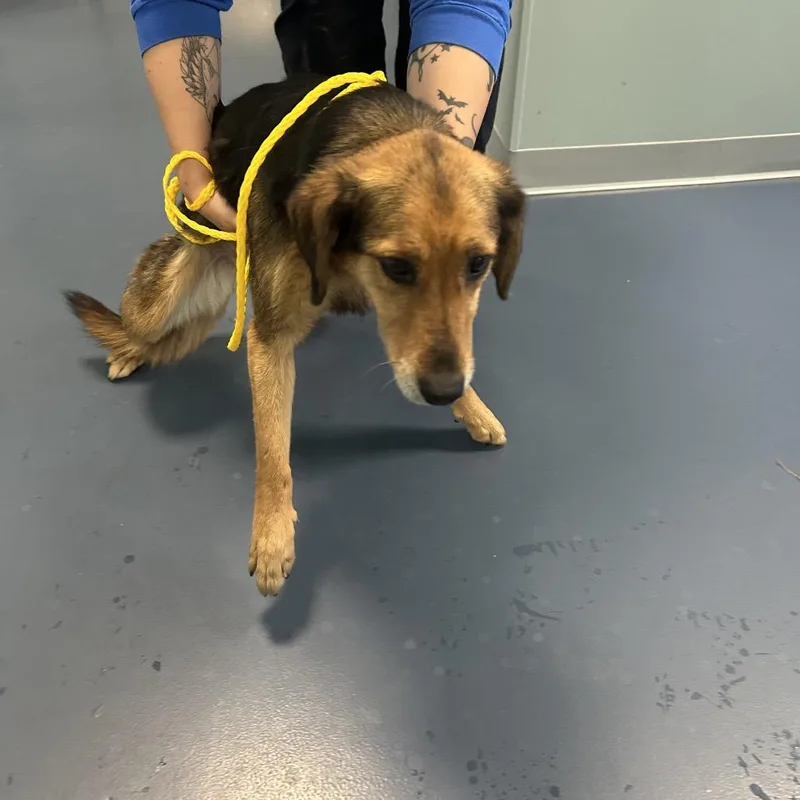 Mirabella thumbnail 2