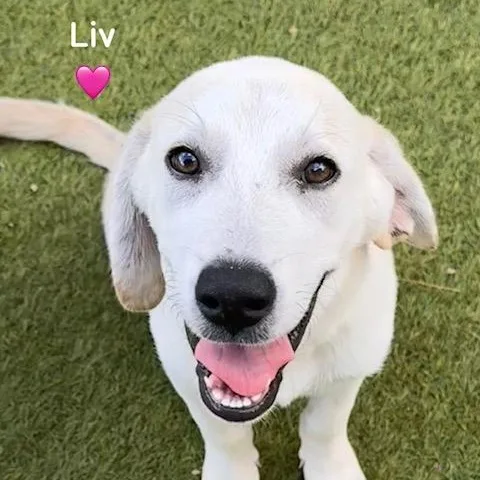 Liv  Thea  thumbnail 2