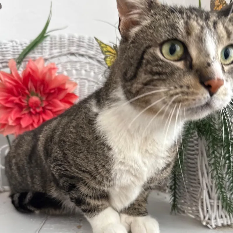 Social Kapital thumbnail 2