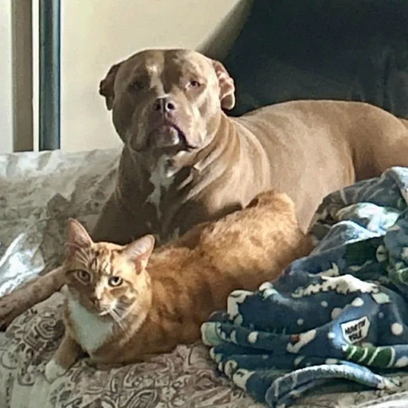 Charlie Miller thumbnail 2