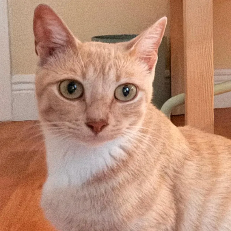 Dance Mom thumbnail 2