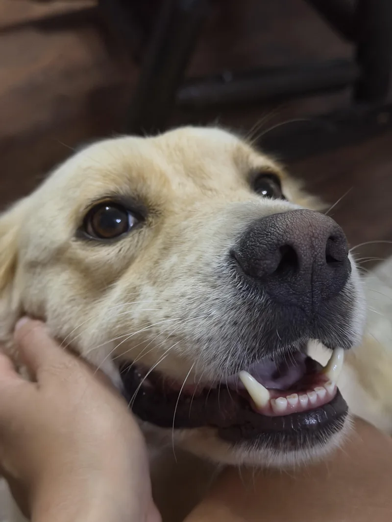 Betty thumbnail 3