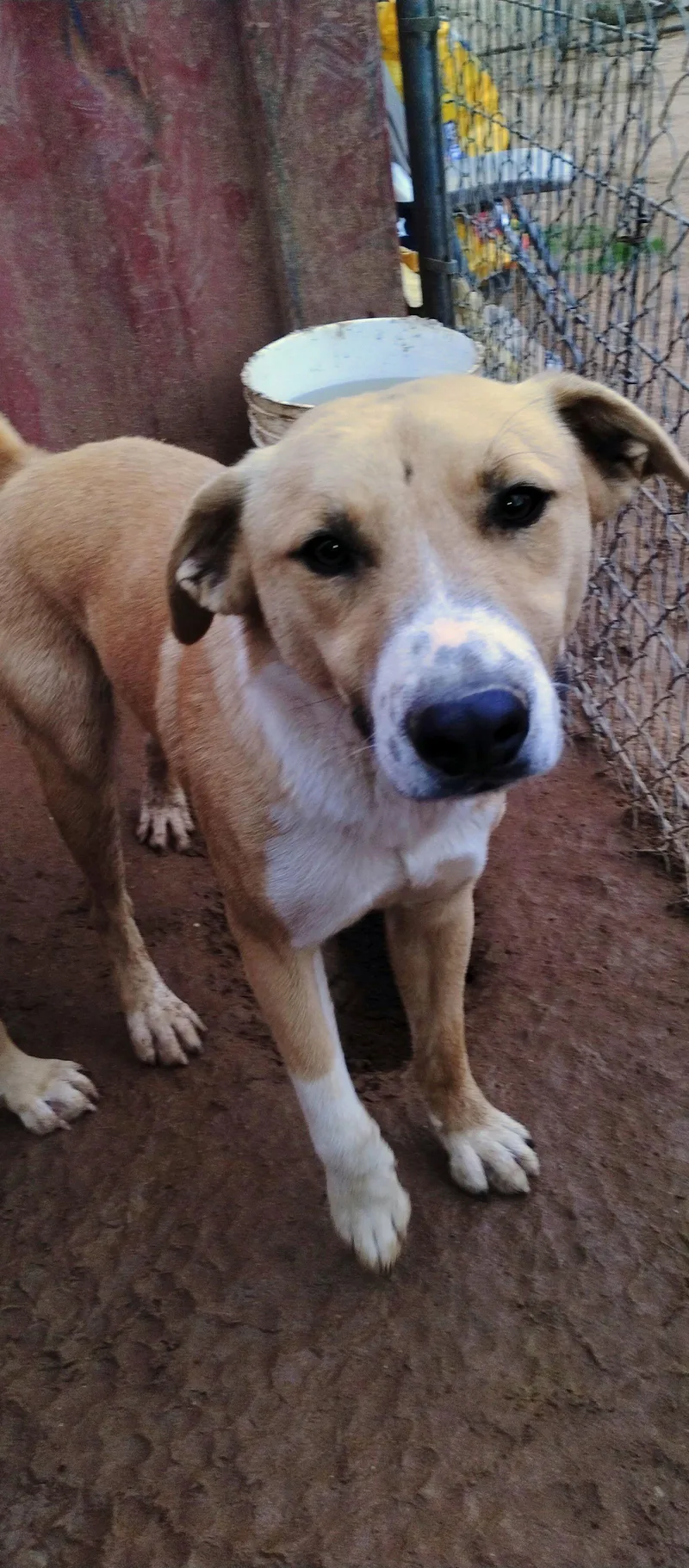 Seven Dwarfs thumbnail 2