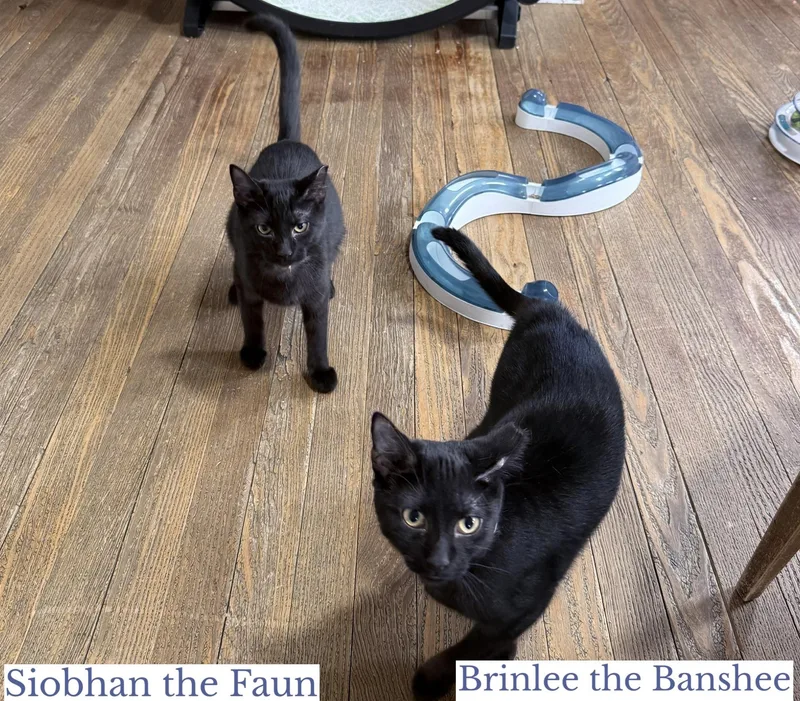 Brinlee The Banshee thumbnail 2