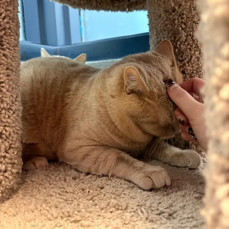 Jalapeno And Toast thumbnail 3