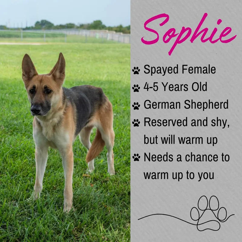 Sophie