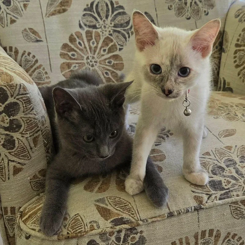 Sparrow & Weeden Bonded