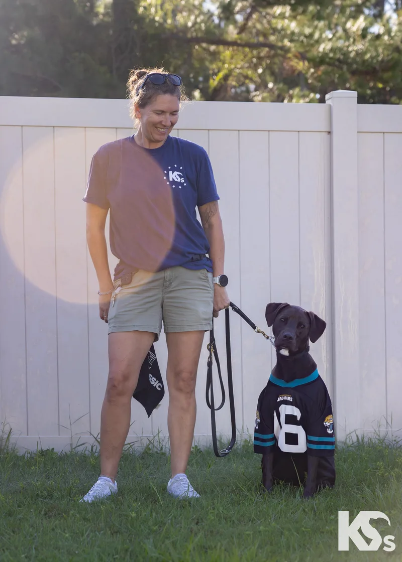 A young medium-sized male Weimaraner dog named Otter for adoption in Ponte Vedra, FL