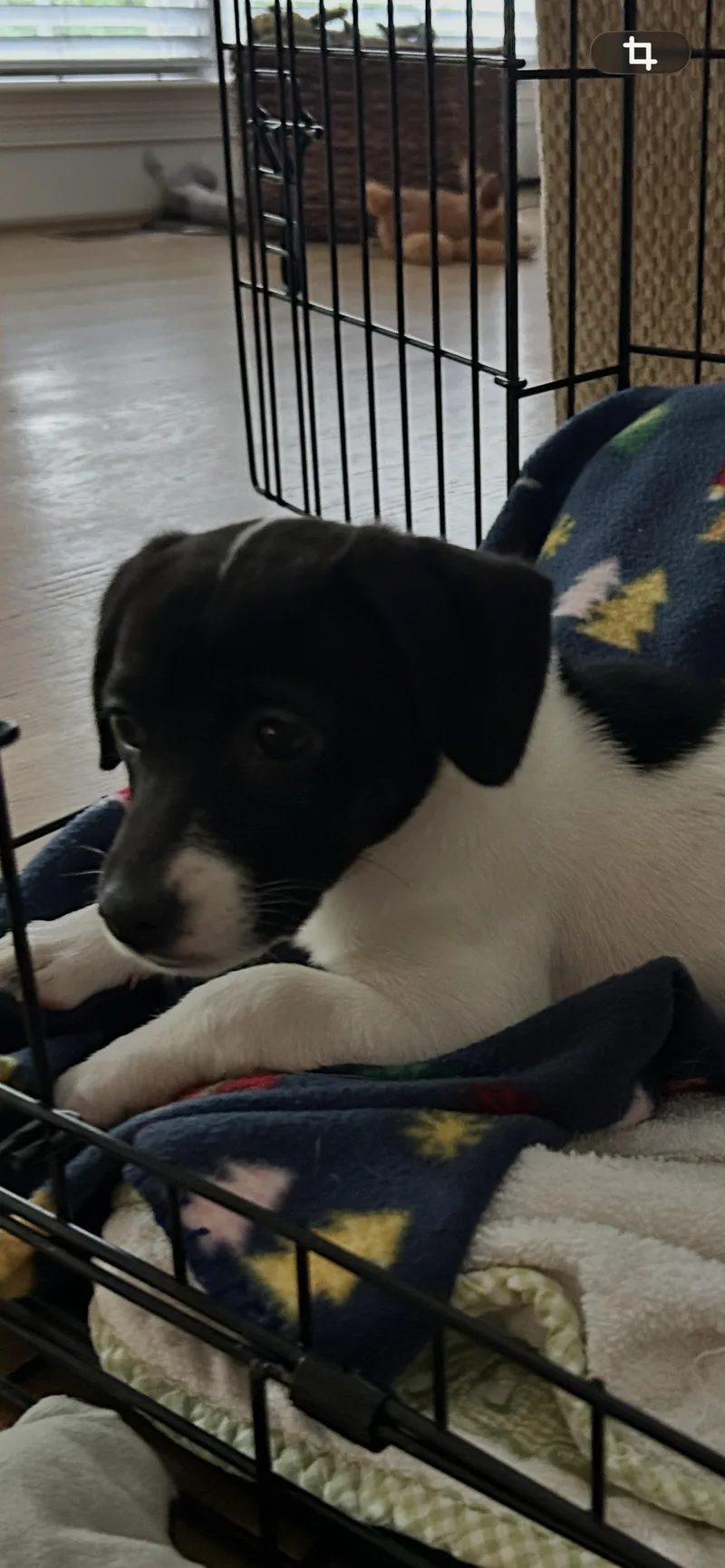 Maggie Moo thumbnail 2