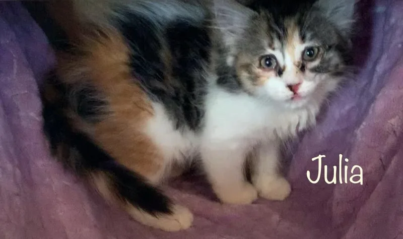 Julia