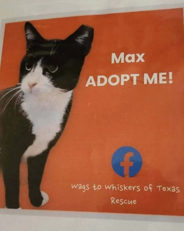 Max