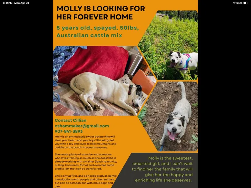 Molly thumbnail 3