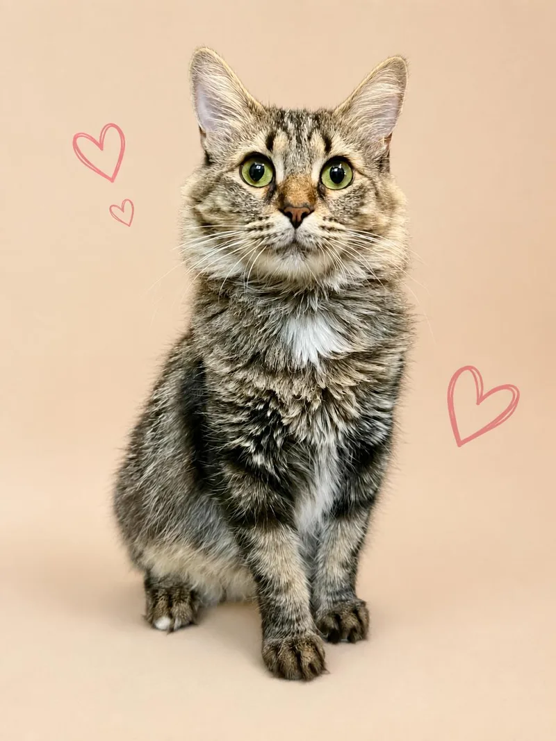 Juno