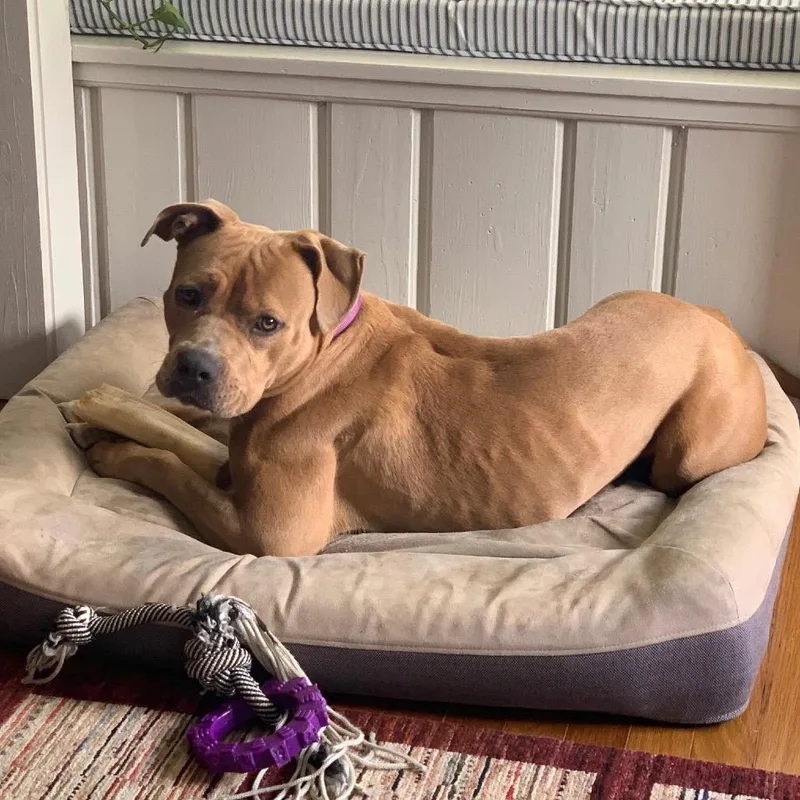 Kally Kanal thumbnail 2