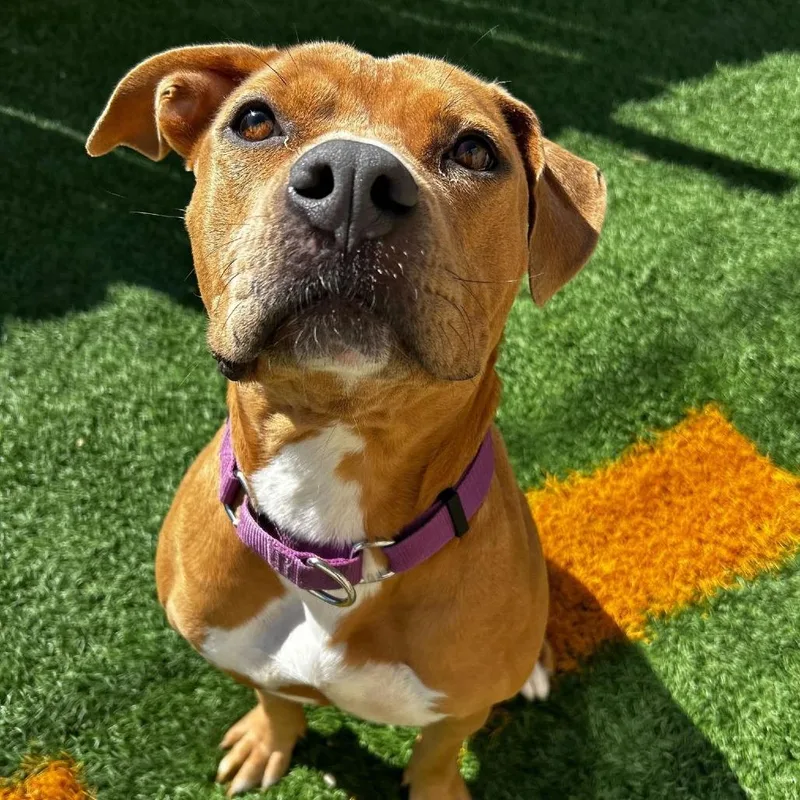 Kally Kanal thumbnail 3