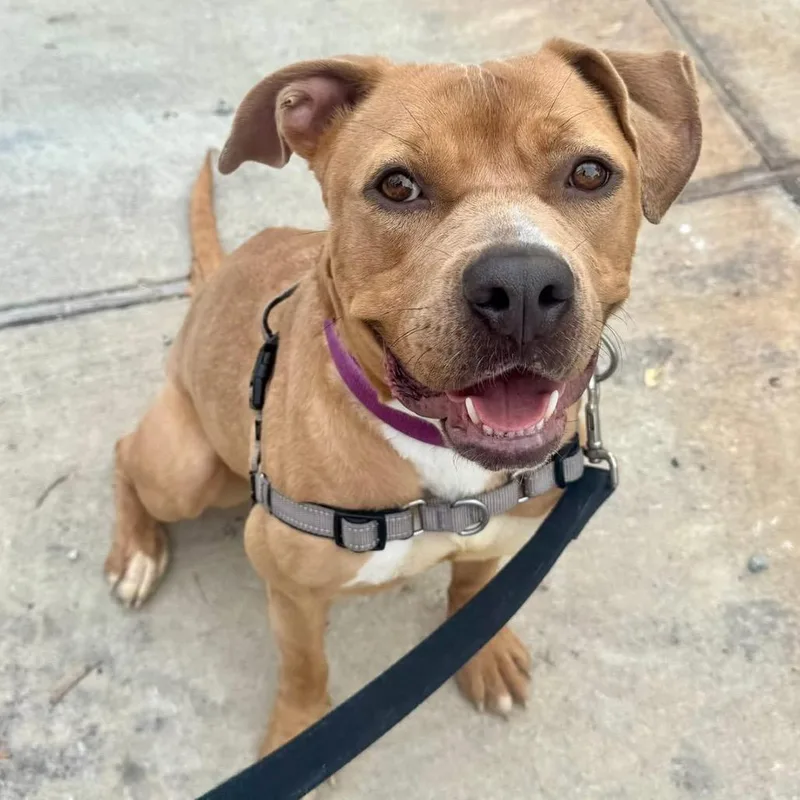 Kally Kanal thumbnail 4