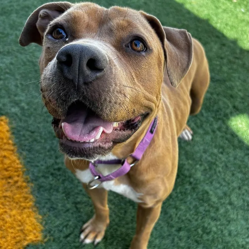 Kally Kanal thumbnail 5