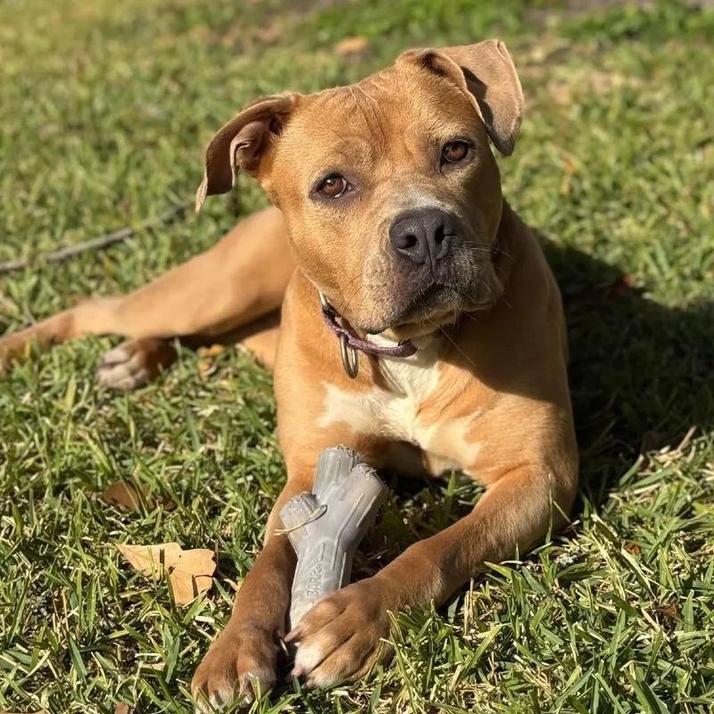 Kally Kanal thumbnail 6