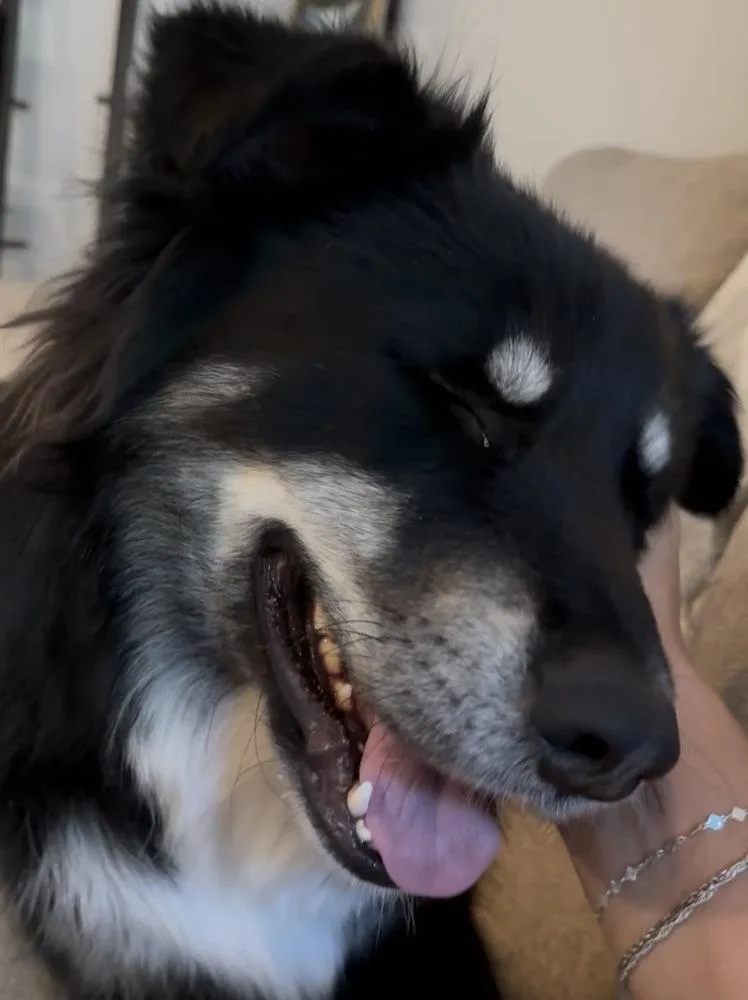 Dave thumbnail 3