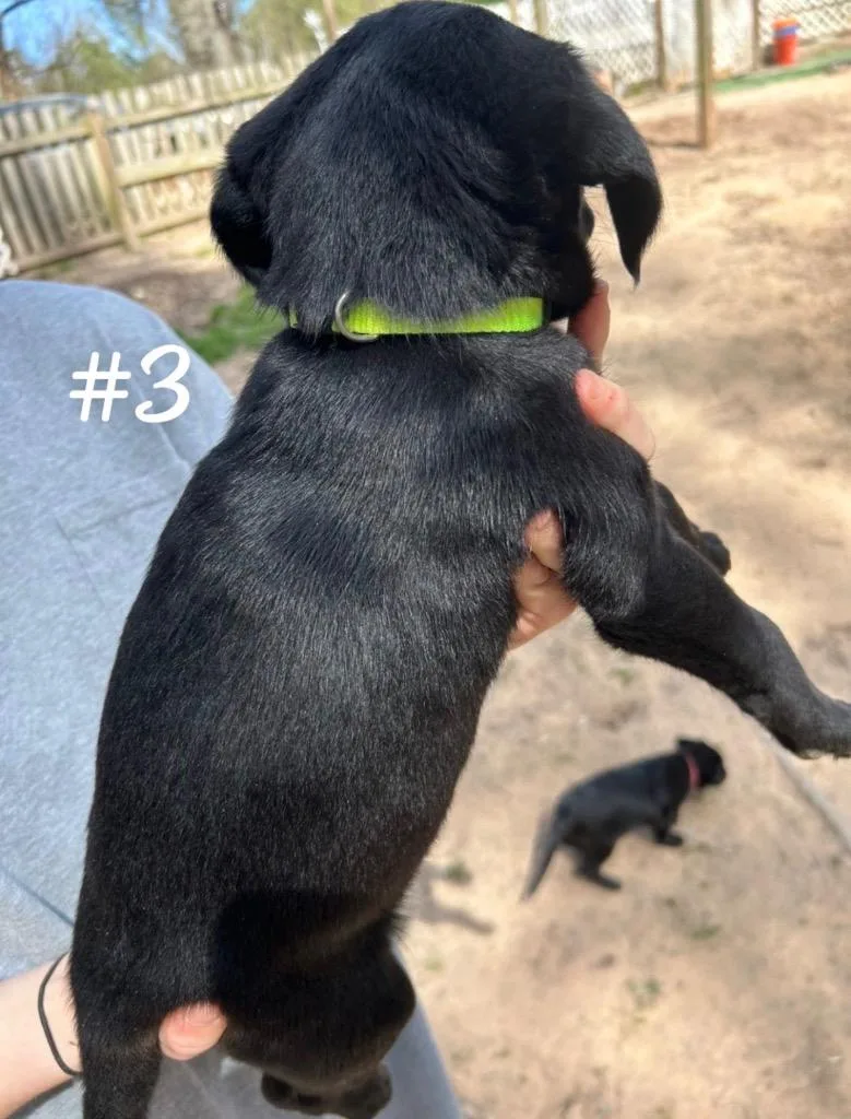 Hercules thumbnail 2