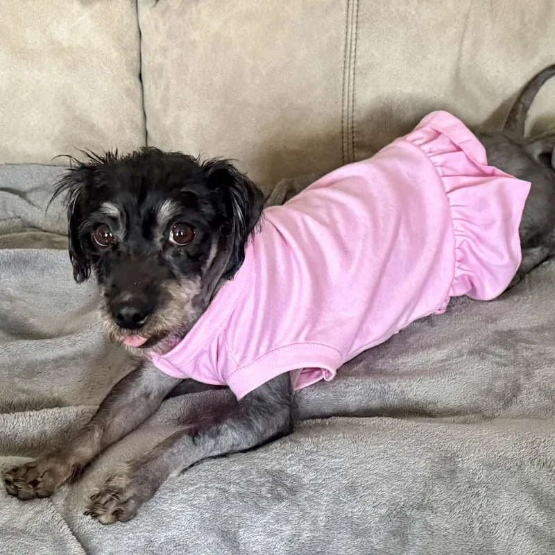 Hot Cocoa thumbnail 2