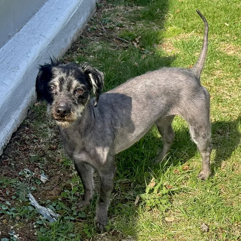 Hot Cocoa thumbnail 5