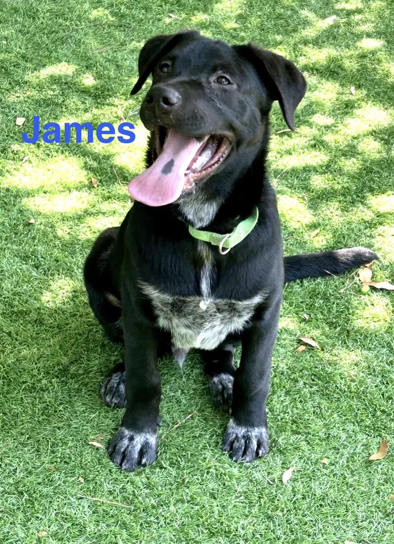 James thumbnail 2