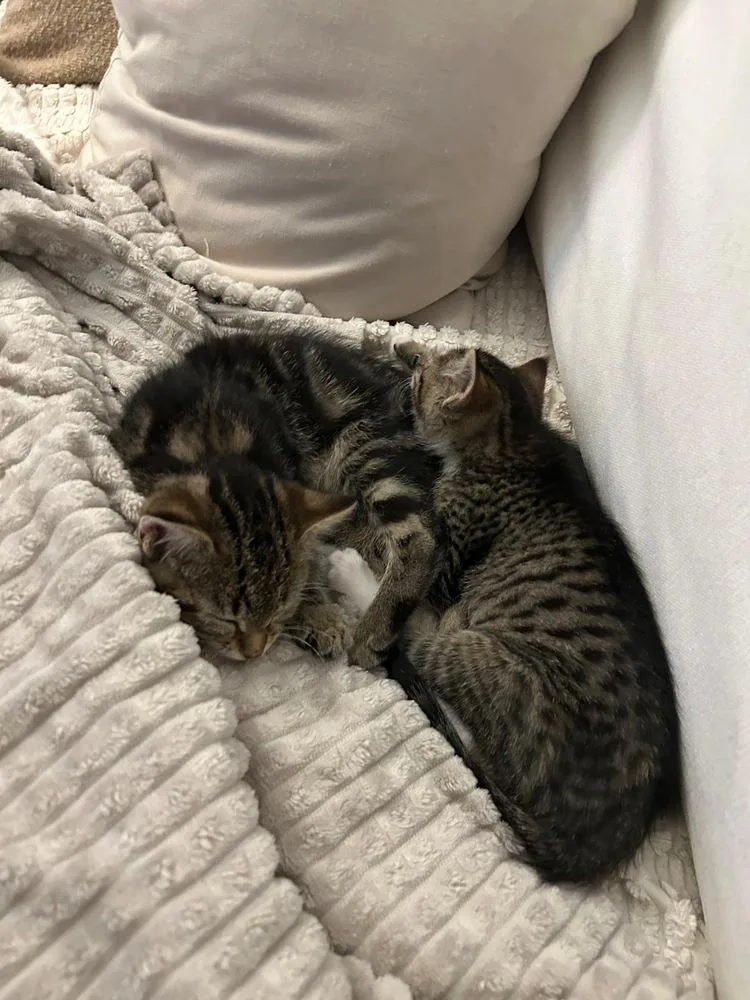 Leo & Theo thumbnail 3