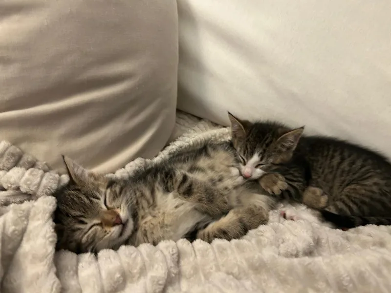 Leo & Theo thumbnail 4