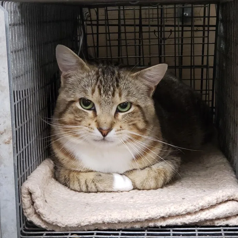 Victor K thumbnail 2